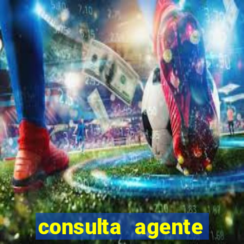 consulta agente autuador sp